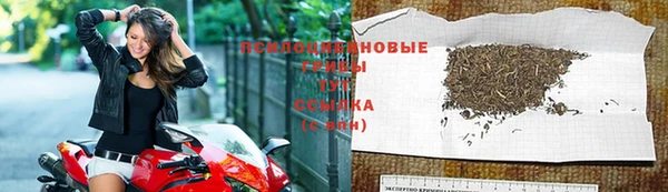 дживик Новокубанск