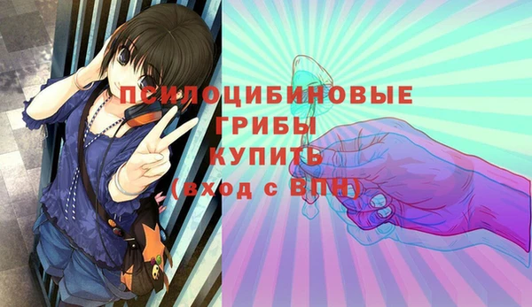 дживик Новокубанск