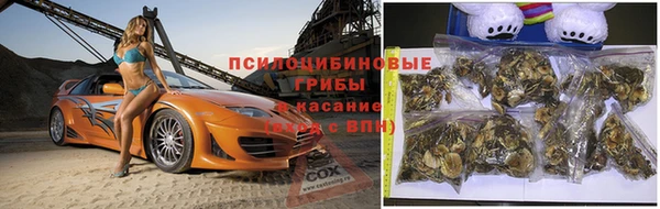 MESCALINE Новодвинск