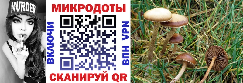 Галлюциногенные грибы Cubensis  наркотики  Южноуральск 